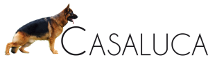 Casa Luca Logo